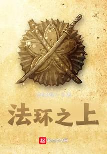 法环之上