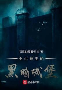 小小领主的黑暗城堡