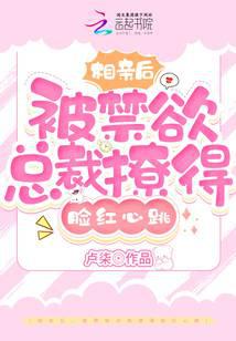 相亲后，被禁欲总裁撩得脸红心跳