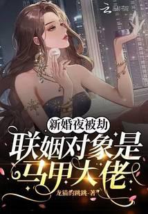 新婚夜被劫，联姻对象是马甲大佬