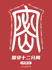 国安十二分局
