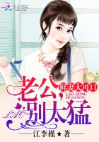 傲娇老公追妻攻略