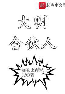 大明合伙人