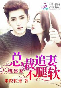 99度盛宠：总裁追妻不腿软