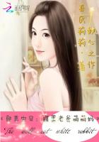天才萌宝：总统老爸傲娇妈