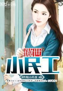 傲世小民工