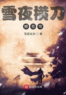 雪夜横刀撼苍穹