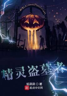 精灵盗墓者