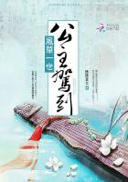 风华一世：公主驾到！