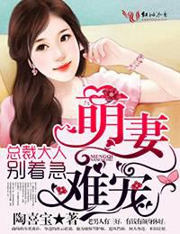 萌妻难宠，总裁大人别着急