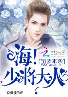 宝妻来袭：嗨！少将大人