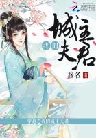 穿越之我的城主夫君