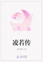 凌若传