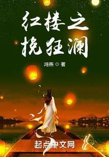红楼之挽狂澜