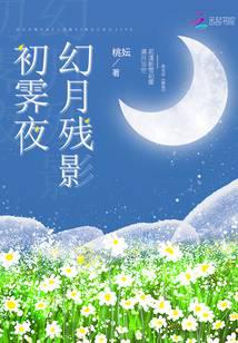 幻月残影初霁夜