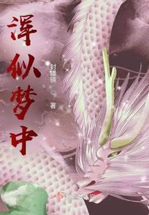 浑似梦中