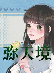 弥天境