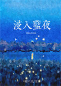 浸入蓝夜