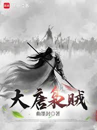 大唐梟贼