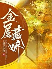 试婚丫鬟