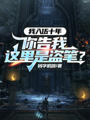 我入伍十年，你告我这里是盗笔？