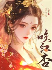 续弦小夫人