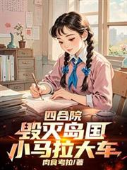 四合院：毁灭岛国，小马拉大车