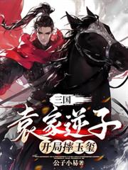 三国：袁家逆子，开局摔玉璽