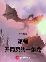 巫师：开局契约一条龙