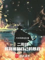 二周目，我将推翻自己的暴政