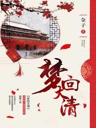 梦回大清（李兰迪、王安宇主演《梦回》原着）