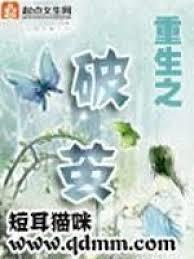 重生之破茧