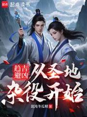 趋吉避凶：从圣地杂役开始