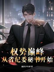 权力巅峰从借调纪委开始